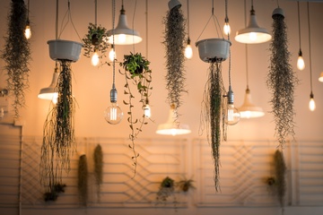 light-plant-ceiling-lamp-lighting-lightbulb-81378-pxhere.com